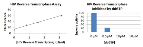 reverse transcriptase assay